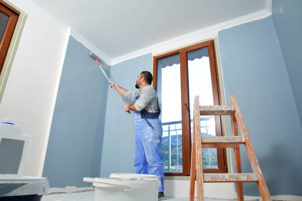 Spring Valley, NV Mold Removal Company
