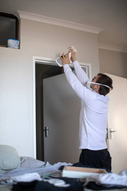 Mold Documentation for Insurance Claims in Spring Valley, NV