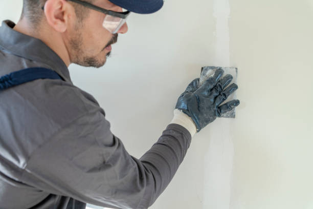 Best Comprehensive Air Testing for Mold Contaminants  in Spring Valley, NV