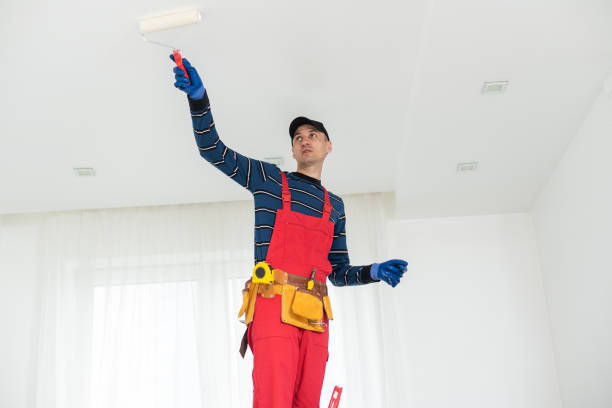 Best Water Damage & Mold Remediation  in Spring Valley, NV