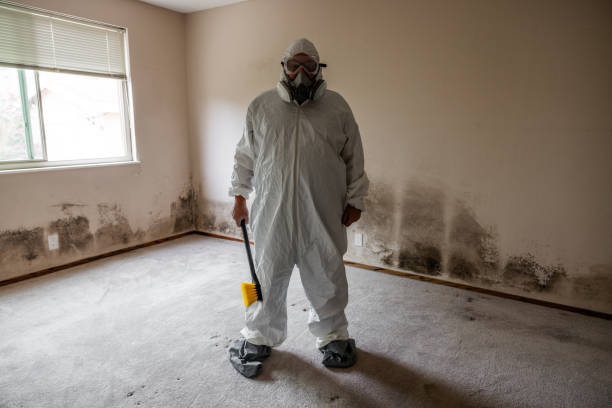 Best Air Quality Testing for Mold Spores  in Spring Valley, NV