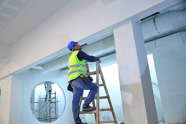 Best Basement Mold Removal  in Spring Valley, NV